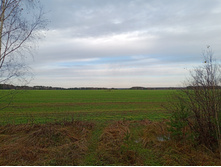 20231022 ��-��������-�������-�������� 143433.jpg