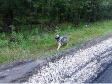 20230909 ������-300 ���������� 163411.jpg