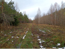 20231022 ��-��������-�������-�������� 121358.jpg