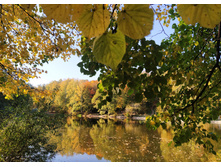 IMG 20230924 150403.jpg