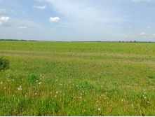 20230527 ������-400 �����������-2023 143651.jpg