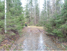 20231022 ��-��������-�������-�������� 121906.jpg