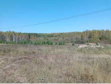 20230923 ������-200 �������� 110232.jpg