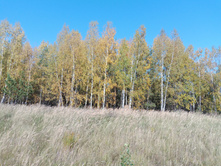 20230923 ������-200 �������� 110644.jpg