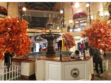 IMG 20231011 195659.jpg