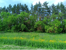 20230527 ������-400 �����������-2023 142520.jpg