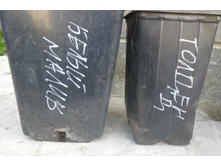 IMG 20231001 120321.jpg