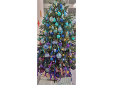 Photo 2023-10-05 11-28-42 (4).jpg