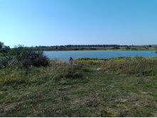 20230923 ������-200 �������� 122925.jpg