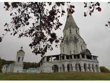 IMG 20231012 131346.jpg