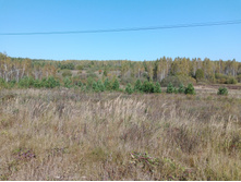 20230923 ������-200 �������� 110239.jpg