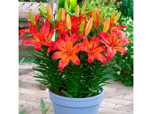 ����� ��������� ��������� ������� 2��.jpg