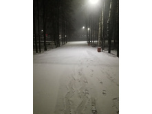 11 ������ 2023