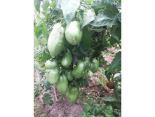 ��� ���, ������� ������. � �� �� 1�����