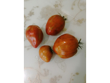 �������� ������� 2