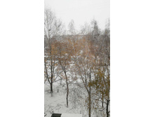 30 ������� 2023