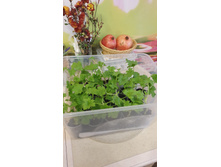 150� �� - ����������� ���������� ����� ������