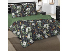 ����� ����� ���� 220 �� ������+���������