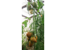 �������� ������� 2