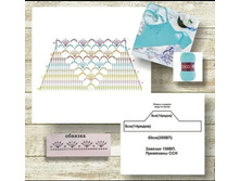 IMG 20231117 171804.jpg