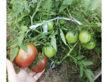 ��������� ������