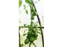 ���������� �������