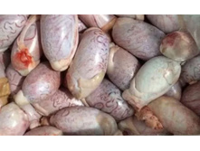 ��������� �������.jpg