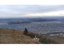 IMG 20231112 131519.jpg