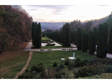 IMG 20231113 162803.jpg