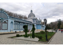 IMG 20231115 131145.jpg