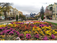 IMG 20231113 135403.jpg