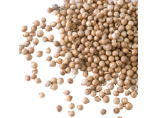 �������� �������