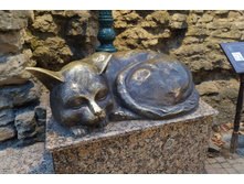 IMG 20231113 165859.jpg