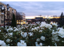 IMG 20231115 165440.jpg