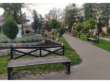 IMG 20231111 145103.jpg