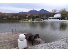 IMG 20231115 155620.jpg