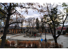 IMG 20231111 160513.jpg