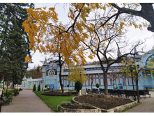 IMG 20231118 132851.jpg