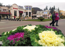 IMG 20231113 140154.jpg