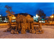 IMG 20231115 171042.jpg