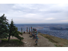 IMG 20231112 134609.jpg