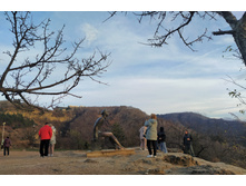 IMG 20231113 160257.jpg