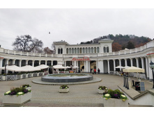 IMG 20231113 142422.jpg