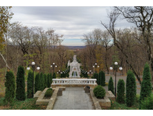 IMG 20231115 140305.jpg