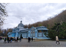 IMG 20231115 131756.jpg