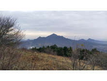 IMG 20231112 133904.jpg