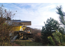 IMG 20231113 152421.jpg