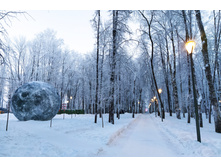 IMG 20240108 155044.jpg