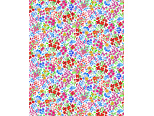 ������� ����� ����� ��� ����� 80 ��