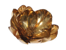 10,07 ����, ��� 12